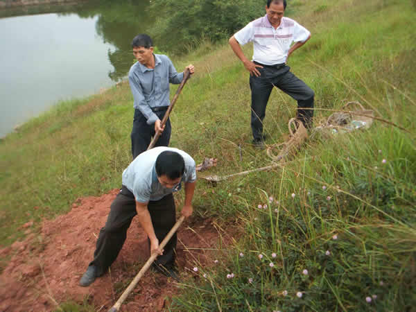 ���Ϸ���ʩ���ֳ�