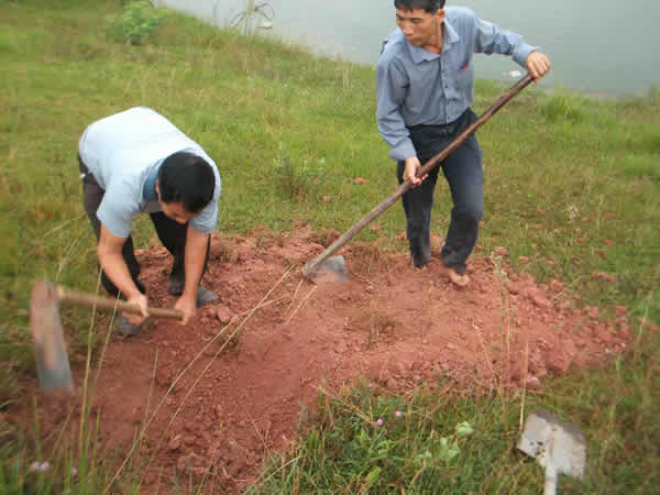 ���Ϸ���ʩ���ֳ�