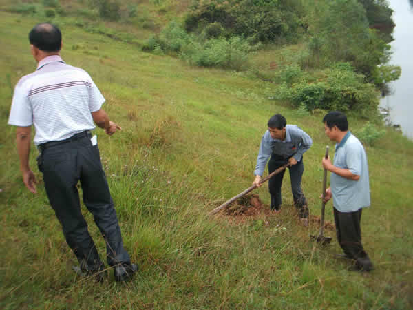 ���Ϸ���ʩ���ֳ�