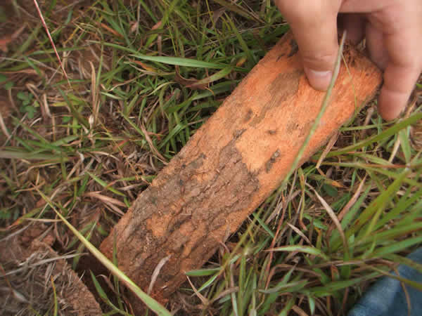 ���Ϸ���ʩ���ֳ�