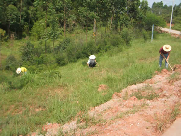 ���Ϸ���ʩ���ֳ�