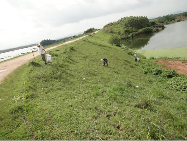 ���Ϸ���ʩ���ֳ�