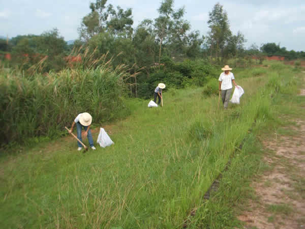 ���Ϸ���ʩ���ֳ�