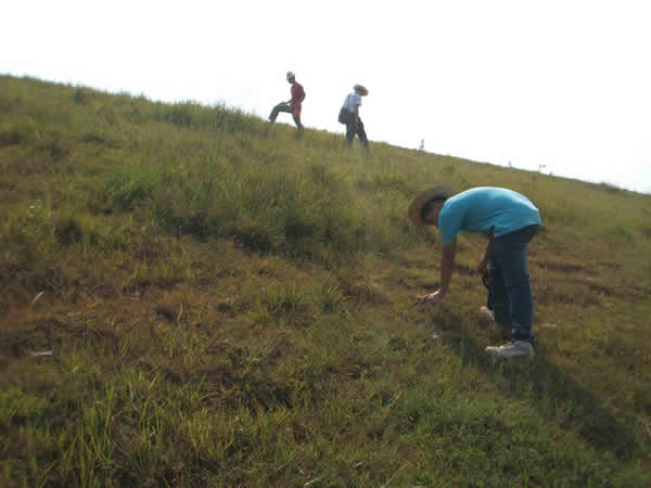 ���Ϸ���ʩ���ֳ�