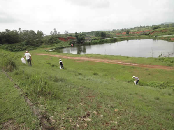 ���Ϸ���ʩ���ֳ�