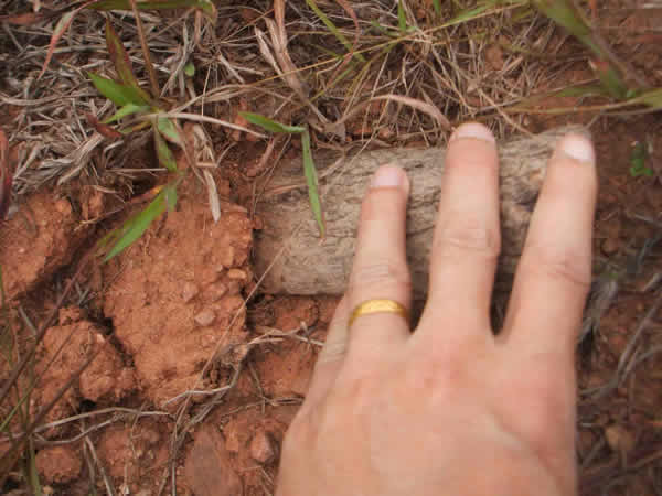 ���Ϸ���ʩ���ֳ�