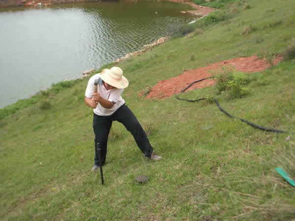 ���Ϸ���ʩ���ֳ�