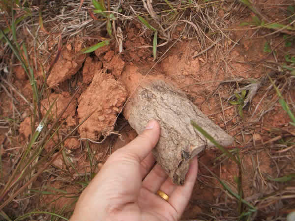 ���Ϸ���ʩ���ֳ�